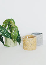 Load image into Gallery viewer, Artificial Angel Wing Begonia Leaf Plant - 12&quot;
