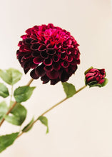 Load image into Gallery viewer, Burgundy and Fuchsia Fake Dahlia Flower - Large 4.5" Bloom
