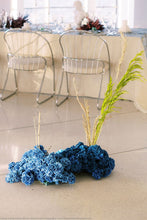 Load image into Gallery viewer, Preserved Congo Grass
