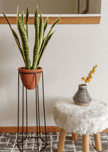 Load image into Gallery viewer, Terracotta Floor Plant Stand - 24.75"
