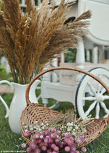 Load image into Gallery viewer, Natural Ivory Preserved Plume Reed Grass - 36-40"
