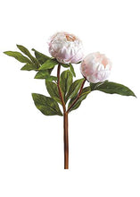 Load image into Gallery viewer, Blush Pink Silk Peony Flower Spray - 22"
