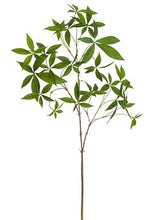 Load image into Gallery viewer, Fake Chinese Money Plant Leaves - 33"
