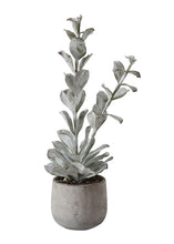 Load image into Gallery viewer, Artificial Succulent Plant in Cement Pot - 23.5"
