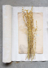Load image into Gallery viewer, Dried Leonurus Motherwort Herbs in Mustard - 23"
