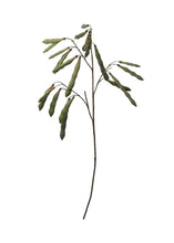Load image into Gallery viewer, Fake Hanging Green Bean Pods Branch - 36"
