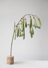 Load image into Gallery viewer, Fake Hanging Green Bean Pods Branch - 36"
