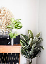 Load image into Gallery viewer, Fake Potted Cordyline Palm Floor House Plant - 40"
