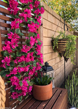 Load image into Gallery viewer, Silk Bougainvillea Garland in Deep Pink - 6'
