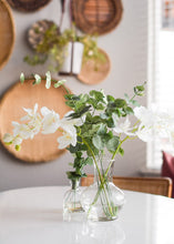 Load image into Gallery viewer, Real Touch Phalaenopsis Orchids in Cream Green - 28" Tall
