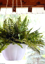 Load image into Gallery viewer, Artificial Boston Fern Bush in Green - 19&quot; - Artificial Plant
