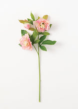 Load image into Gallery viewer, Real Touch Artificial Helleborus in Pink
