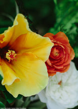 Load image into Gallery viewer, Orange Silk Ranunculus Flowers

