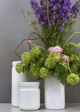 Load image into Gallery viewer, White Glass Hobnail Jar - 5" Tall

