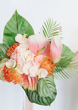 Load image into Gallery viewer, Phalaenopsis Silk Orchid in Peach Cream - 26" Tall x 3.75" Blooms
