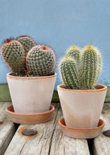 Load image into Gallery viewer, Smooth Washed Pink Terracotta Clay Planter - 5" Tall x 5.5" Wide with Drainage
