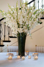 Load image into Gallery viewer, Dendrobium Silk Orchid Spray in Cream - 35.5" Tall
