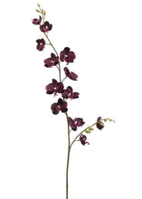 Load image into Gallery viewer, Mini Silk Phalaenopsis Orchid in Eggplant - 30" Tall

