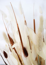 Load image into Gallery viewer, Pack of 100 - Dried Pencil Cattails
