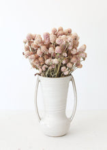 Load image into Gallery viewer, Air Dried Globe Amaranth in Light Pink
