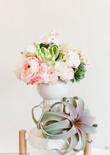 Load image into Gallery viewer, Silk Garden Cabbage Rose in Pastel Peach Pink - 23&quot; Tall
