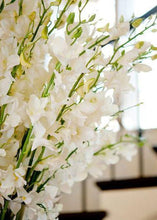 Load image into Gallery viewer, Artificial Dendrobium Orchid in Cream White 30"
