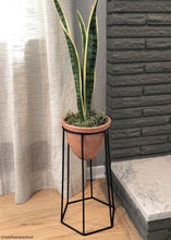 Load image into Gallery viewer, Outdoor/ Indoor Artificial Snake Plant - 24"
