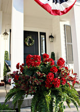 Load image into Gallery viewer, UV Protected Indoor/Outdoor Artificial Geranium Bush - 18" Tall
