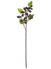 Load image into Gallery viewer, Artificial Mulberry Stem - 23"

